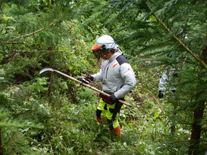 DSCN0565.JPG