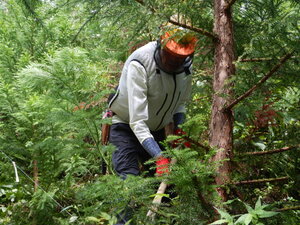 DSCN0569.JPG