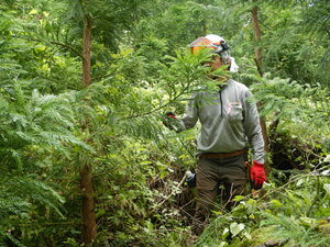 DSCN0576.JPG