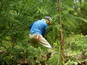 DSCN0586.JPG
