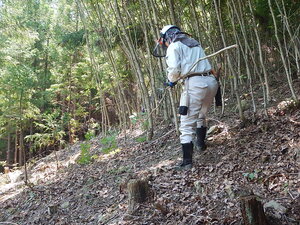 DSCN0611.JPG