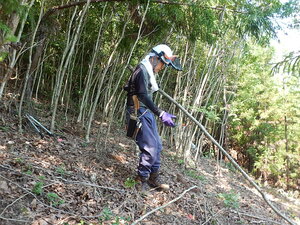 DSCN0616.JPG