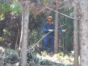 DSCN0618.JPG