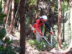 DSCN0625.JPG