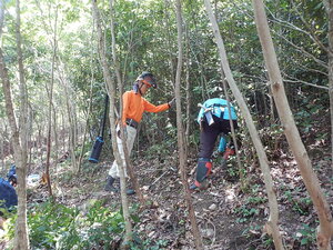 DSCN0637.JPG