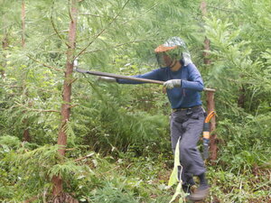 DSCN0642.JPG