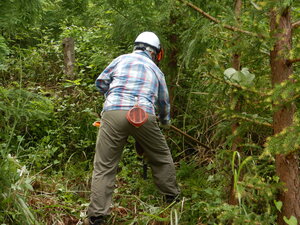 DSCN0643.JPG