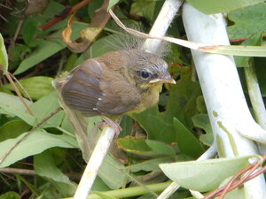 DSCN0648.JPG