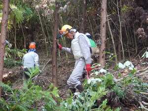 DSCN0676.JPG