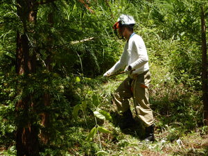 DSCN0696.JPG