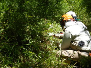 DSCN0710.JPG