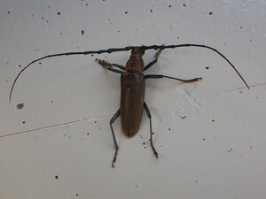 DSCN0714.JPG