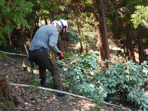 DSCN0737.JPG