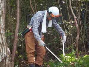 DSCN0762.JPG