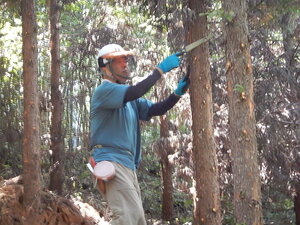 DSCN0772.JPG