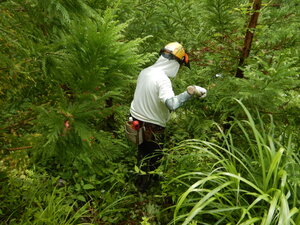 DSCN0803.JPG