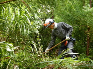 DSCN0816.JPG