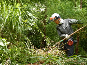 DSCN0817.JPG