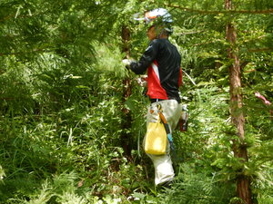 DSCN0820.JPG