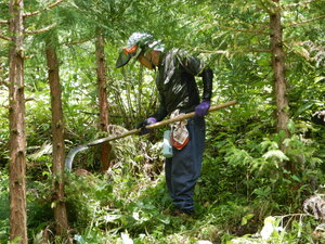 DSCN0830.JPG