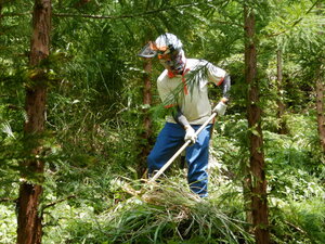 DSCN0839.JPG