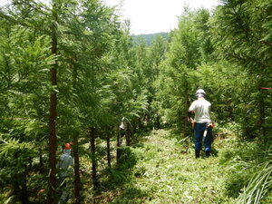 DSCN0858.JPG
