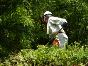 DSCN0868.JPG
