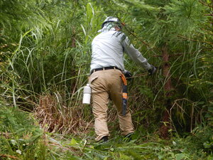 DSCN0882.JPG