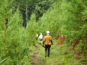 DSCN0904.JPG