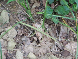 DSCN1198.JPG