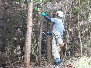 DSCN1214.JPG