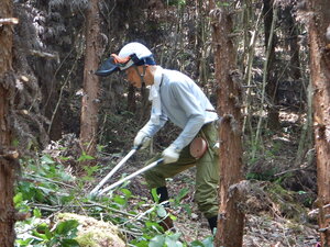 DSCN1216.JPG