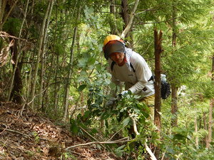 DSCN1229.JPG