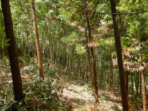 DSCN1231.JPG