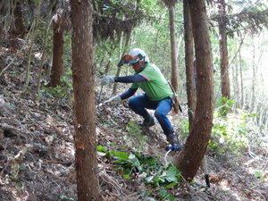 DSCN1242.JPG