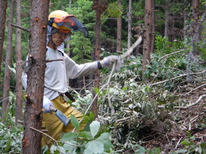 DSCN1261.JPG