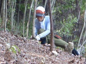 DSCN1272.JPG