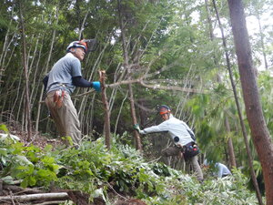 DSCN1279.JPG
