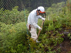 DSCN1296.JPG