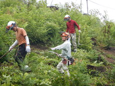 DSCN1306.JPG