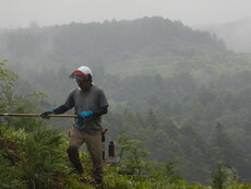 DSCN1338.JPG