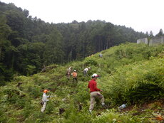 DSCN1348.JPG