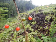 DSCN1358.JPG
