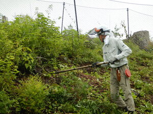 DSCN1437.JPG