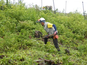 DSCN1440.JPG