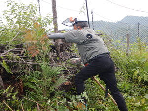 DSCN1461.JPG