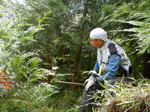 DSCN1597.JPG