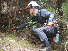 DSCN8986.JPG