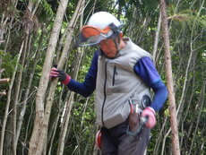 DSCN9006.JPG
