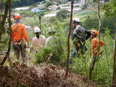 DSCN9053.JPG